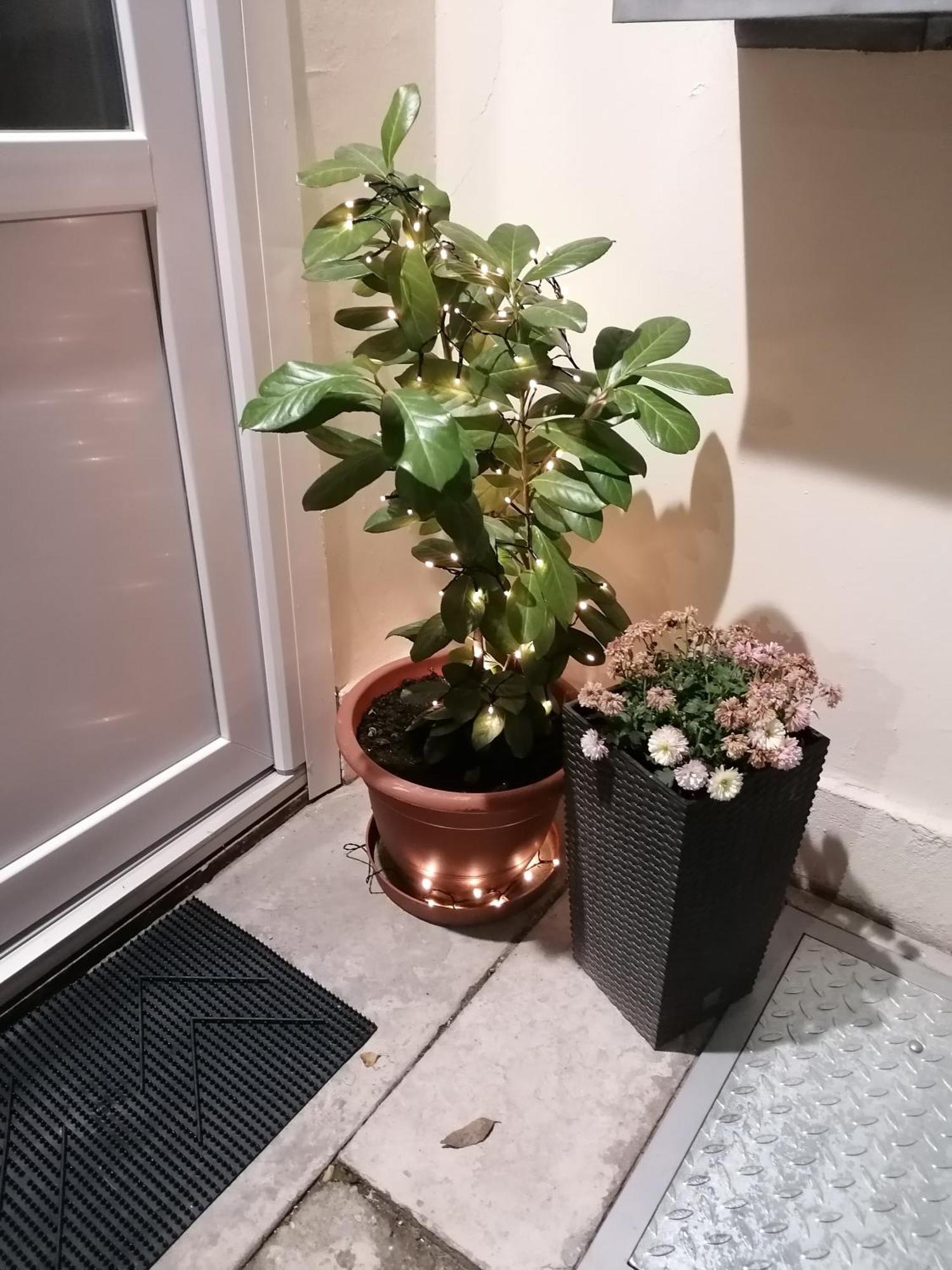 Mohacs Korona Apartman Exterior photo